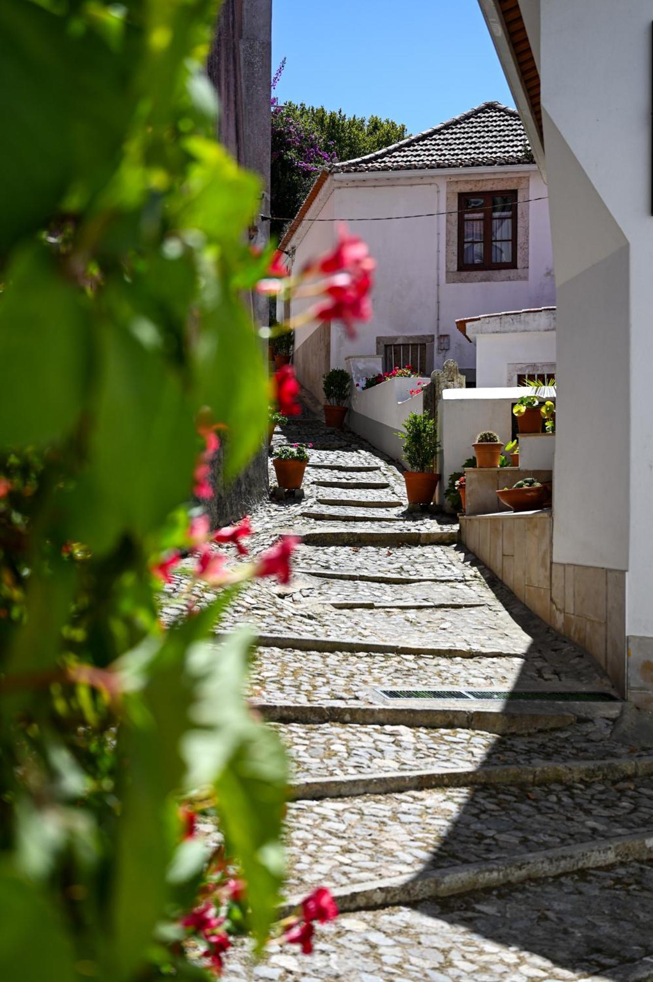 Apartament Casa Do Briamante 9 Sintra Zewnętrze zdjęcie